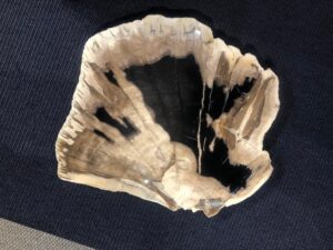 PLASTER SKAMIENIAŁE DREWNO #48135