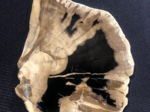 PLASTER SKAMIENIAŁE DREWNO #48135