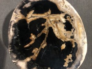 STOLIK KAWOWY SKAMIENIAŁE DREWNO #32422